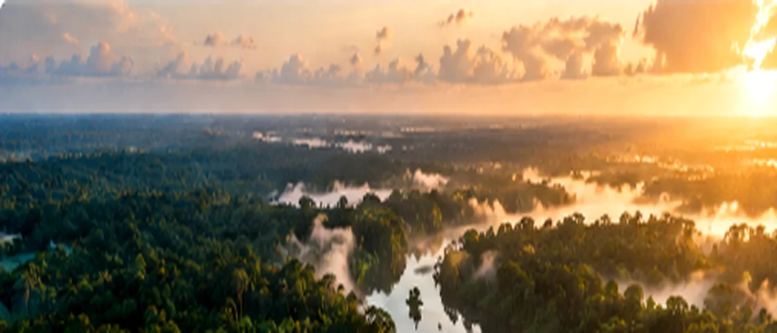 Floresta amazônica